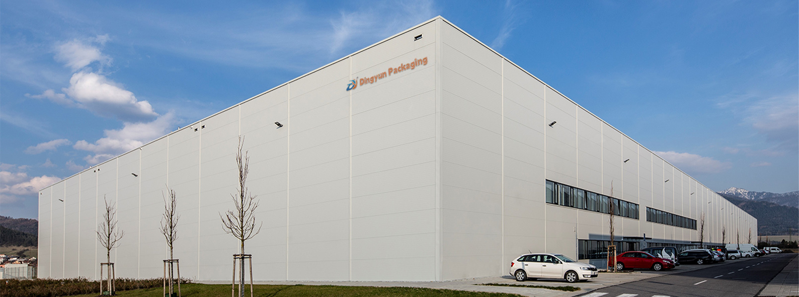 Taizhou Dingyun Paper & Plastic Co., Ltd.